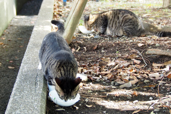 食べる　ふたり