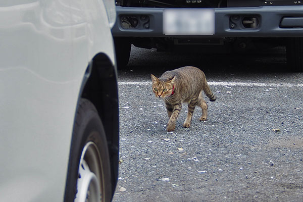 らい太　家見えてる