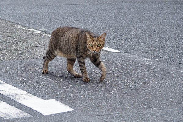 らい太　家通過