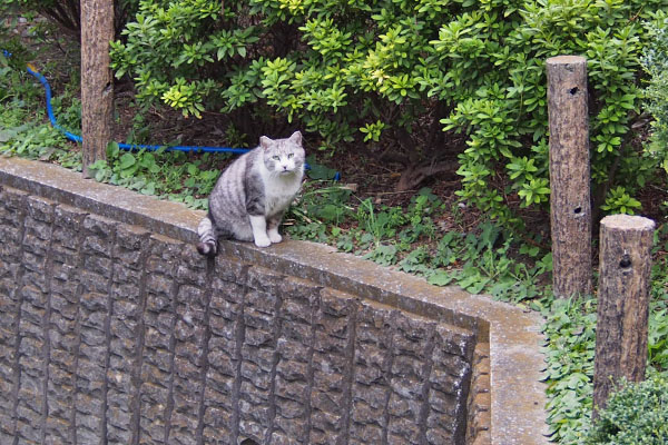 クロム　おった