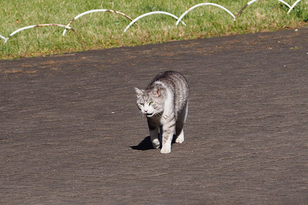 クロム　軌道修正