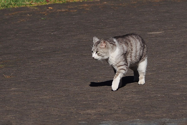 クロム　でもやっぱり左