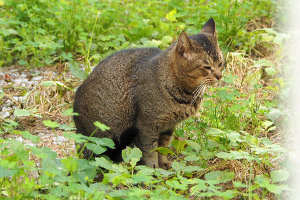 アビ　座るよ