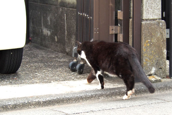 家宅侵入するブッチ