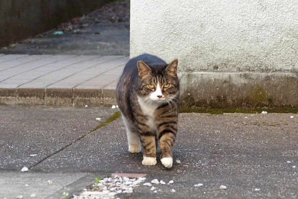 アシメ　右足