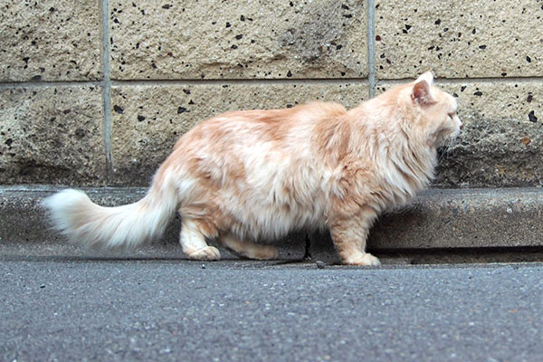 ナリコ　ちょっと待てよ