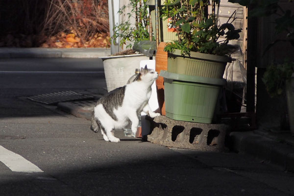 ケイ　戻って来たとこ