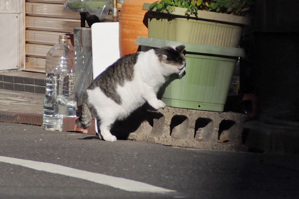 ケイ　ぶつかり稽古