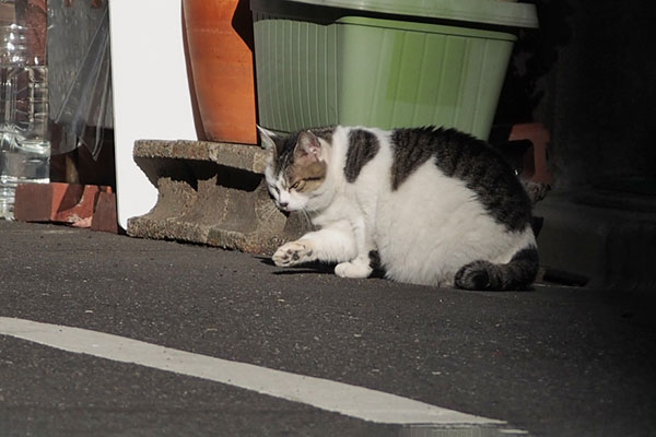 ケイ　ごっつあんです