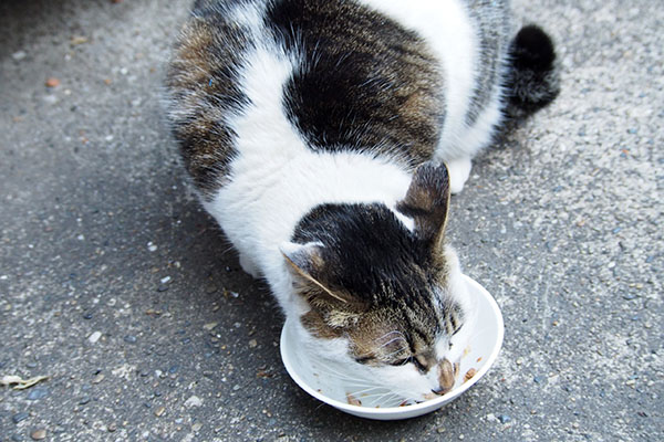 セイ　食べてる