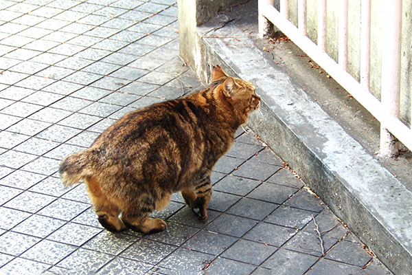 待ってる　クラタン