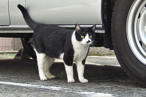 まこ　そして待つ