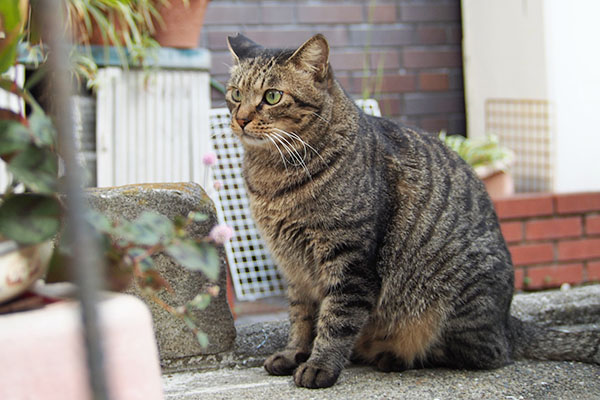 シマヲ　食後移動先考え中