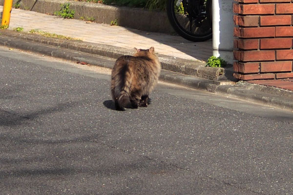 くり坊　お世話宅へ