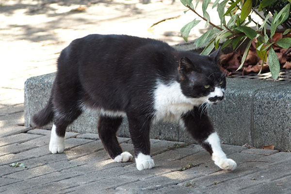 ぶっち　目の前通過