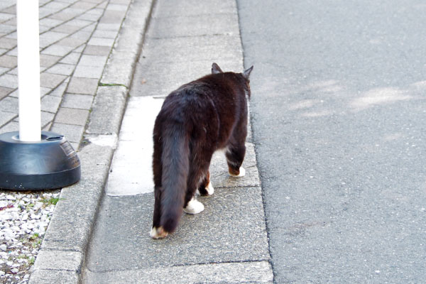 ぶっち　ゆっくりと