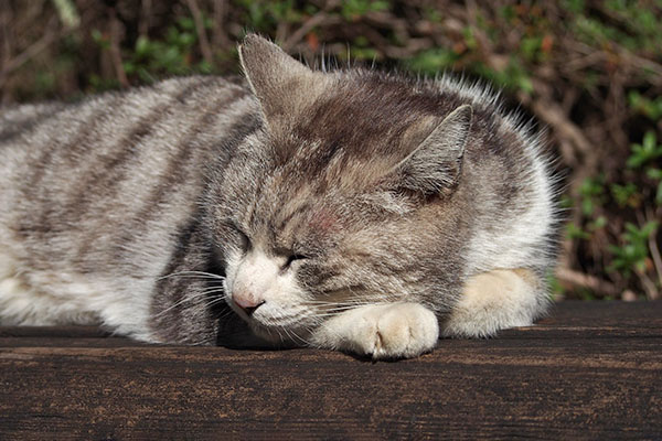 クロム　眠くなる
