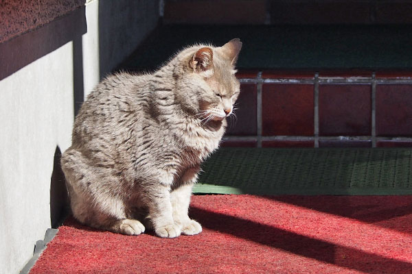シピ　１の１