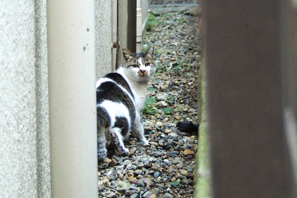 いつもと違う場所に　しぐれ