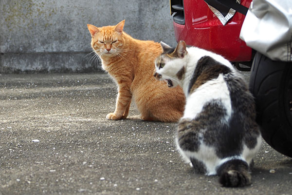 そらちゃんの目が怖い