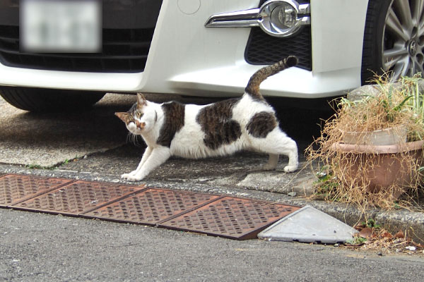 出迎え　セイ