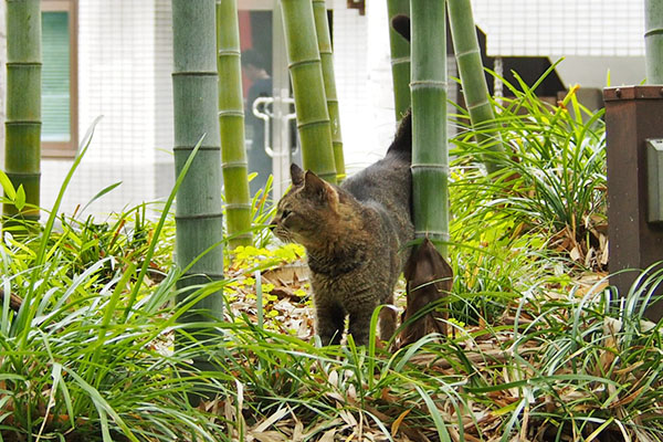 アビ　クラタンを見つける
