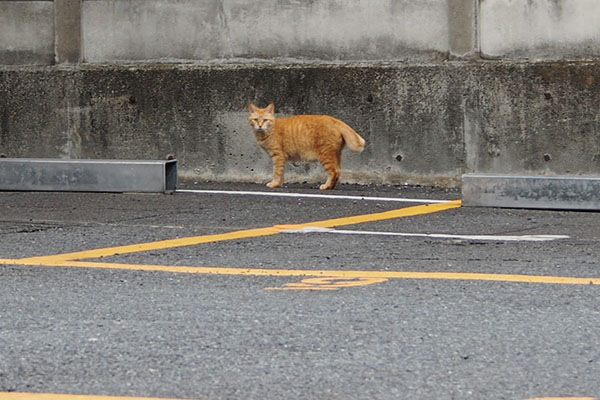 そらちゃん　気付いた