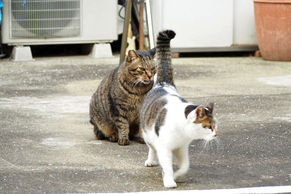 セイ切り上げ早し