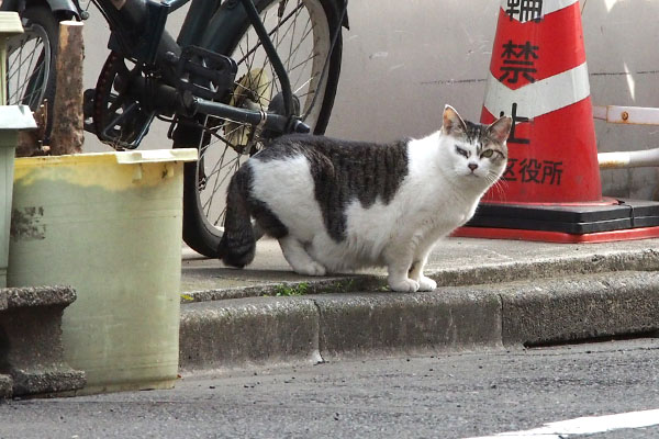 ケイ　気付く