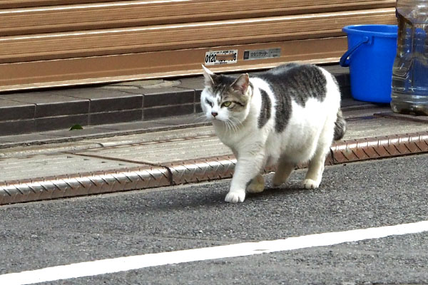 慎重に進むケイ