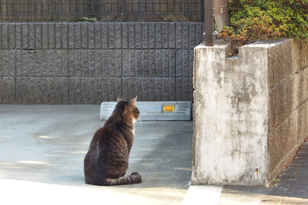 アシメ　遠くから