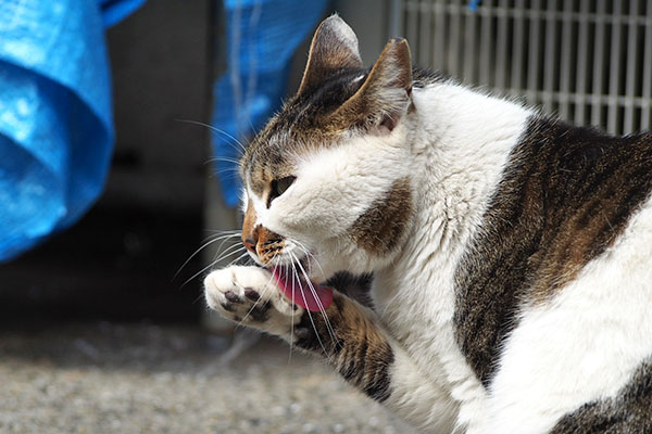 セイ　遠く見ながら