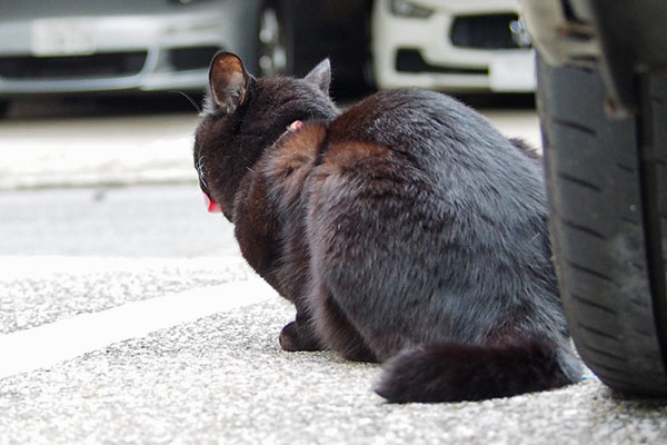 終わったのか　モノタ