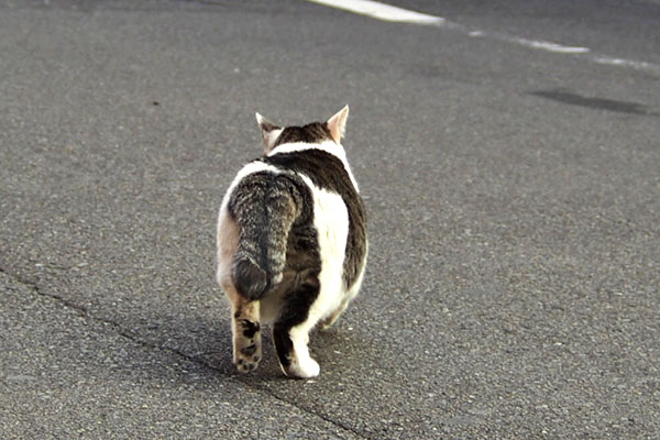 お尻　ケイ