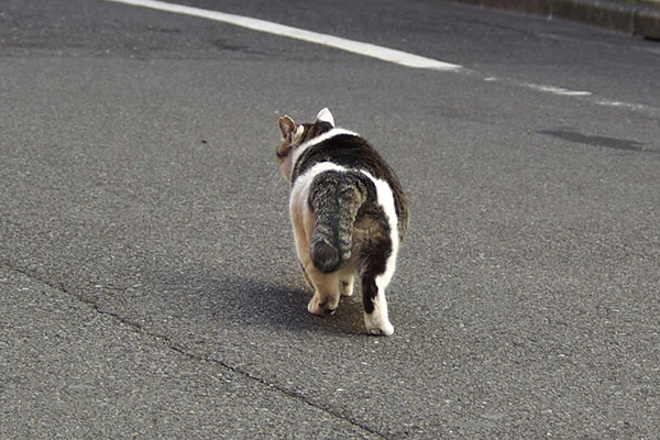 基地へ戻る　ケイ