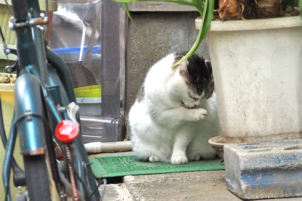 おいしかった　ケイ