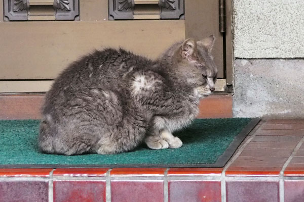 気付いたか　シピ