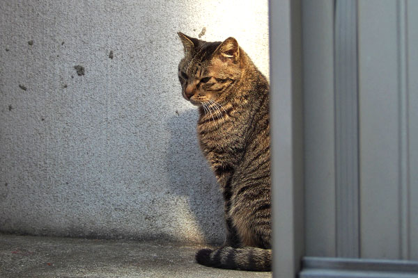 そっとしといて　シマヲ