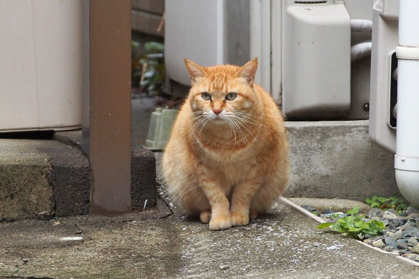 そらちゃん　見る