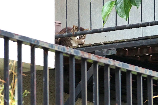 ２階のベランダ　アシメ
