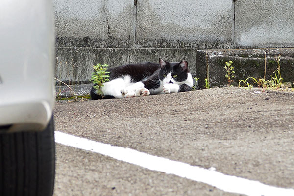 察知する　まこ