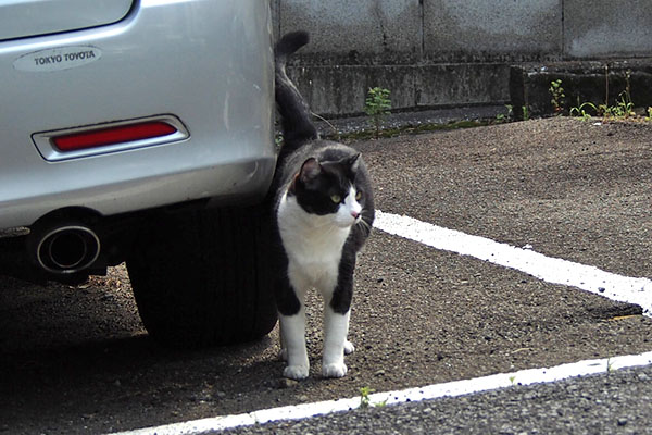 母を見る　まこ