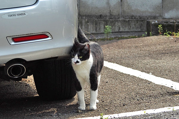 出て来た　まこ
