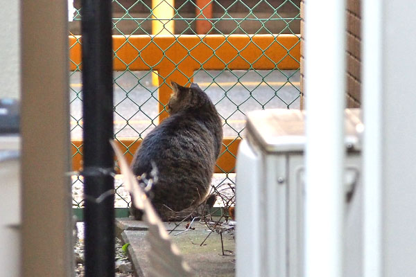 あっちがいいかな　シマヲ