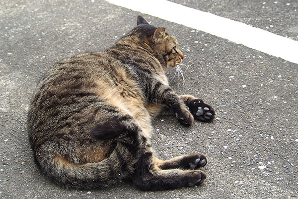 そこですか　シマヲ