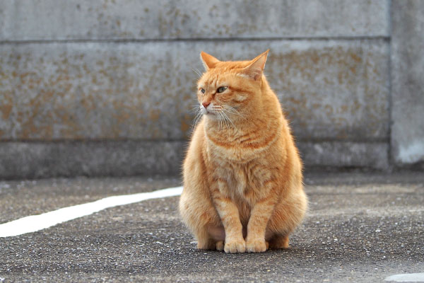 うむ　そらちゃん