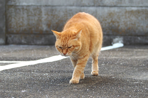 こっちから　そらちゃん