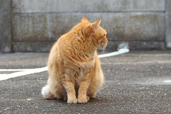 ふにっと後ろを　そらちゃん
