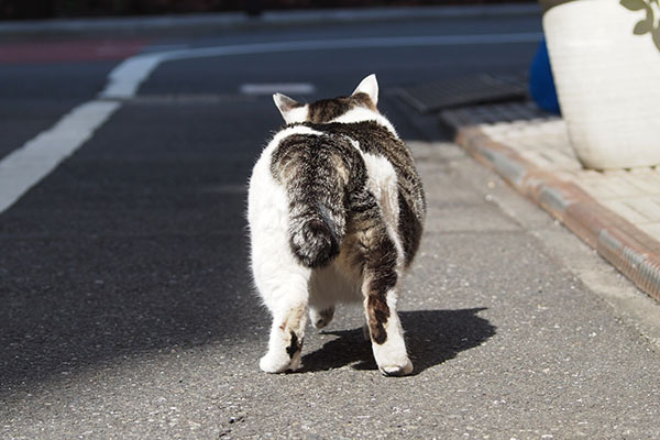 立ち止まる　ケイ