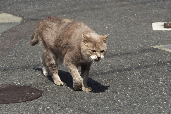 それよりオヤツ　グリ